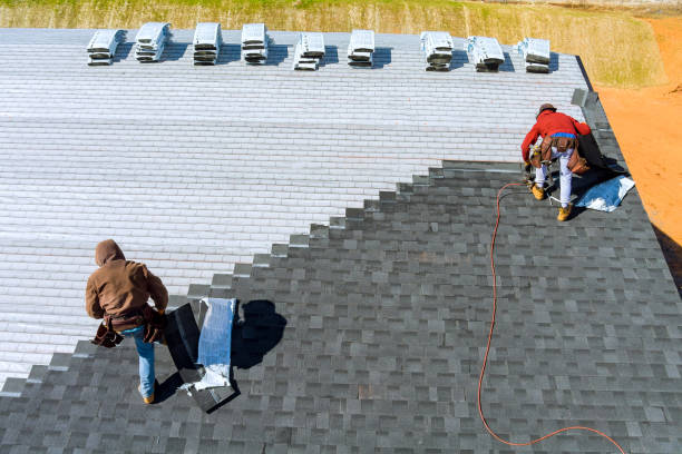 Best Roof Gutter Cleaning  in Cana, VA